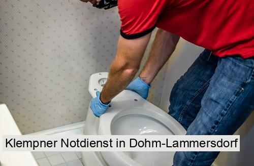 Klempner Notdienst in Dohm-Lammersdorf
